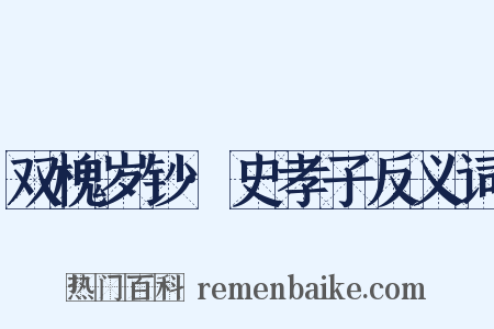 双槐岁钞·史孝子反义词是什么意思的图片
